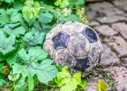 开云体育官网摩洛哥瓦赫达战术多变，力争战胜强敌