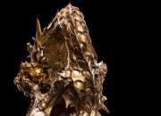 开云体育官方网站猛龙金