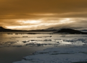 开云体育双星闪耀夜！哈利伯顿空砍41+12，奇才压哨绝杀上演逆转奇迹