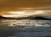 开云体育双星闪耀夜！哈利伯顿空砍41+12，奇才压哨绝杀上演逆转奇迹