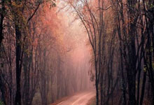 开云体育中国山城铁骑亮剑天河！重庆斯威死磕广州恒大，铁血搏三分