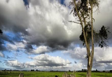 开云体育中国山城铁骑亮剑天河！重庆斯威死磕广州恒大，铁血搏三分