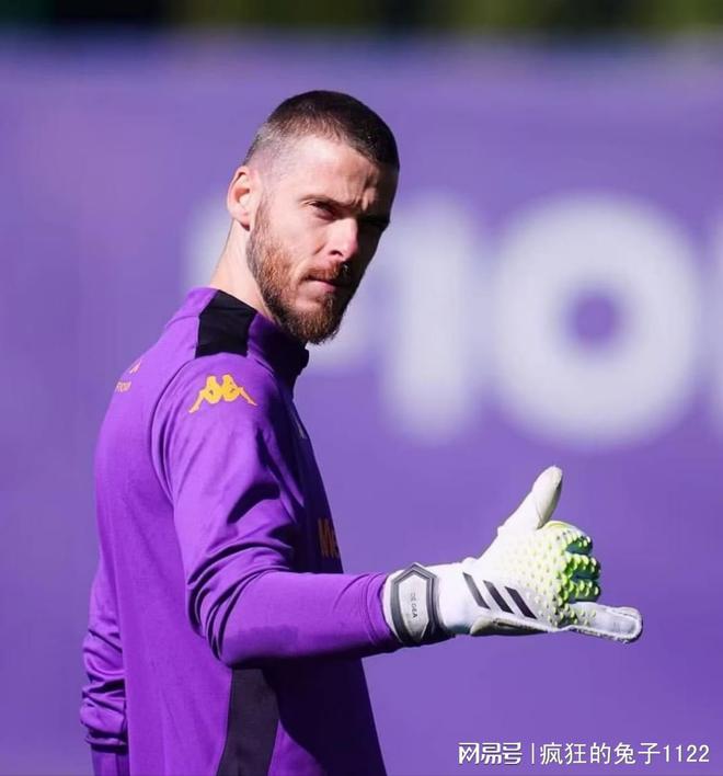 关于佛罗伦萨门将扑出关键球，助球队获胜的信息