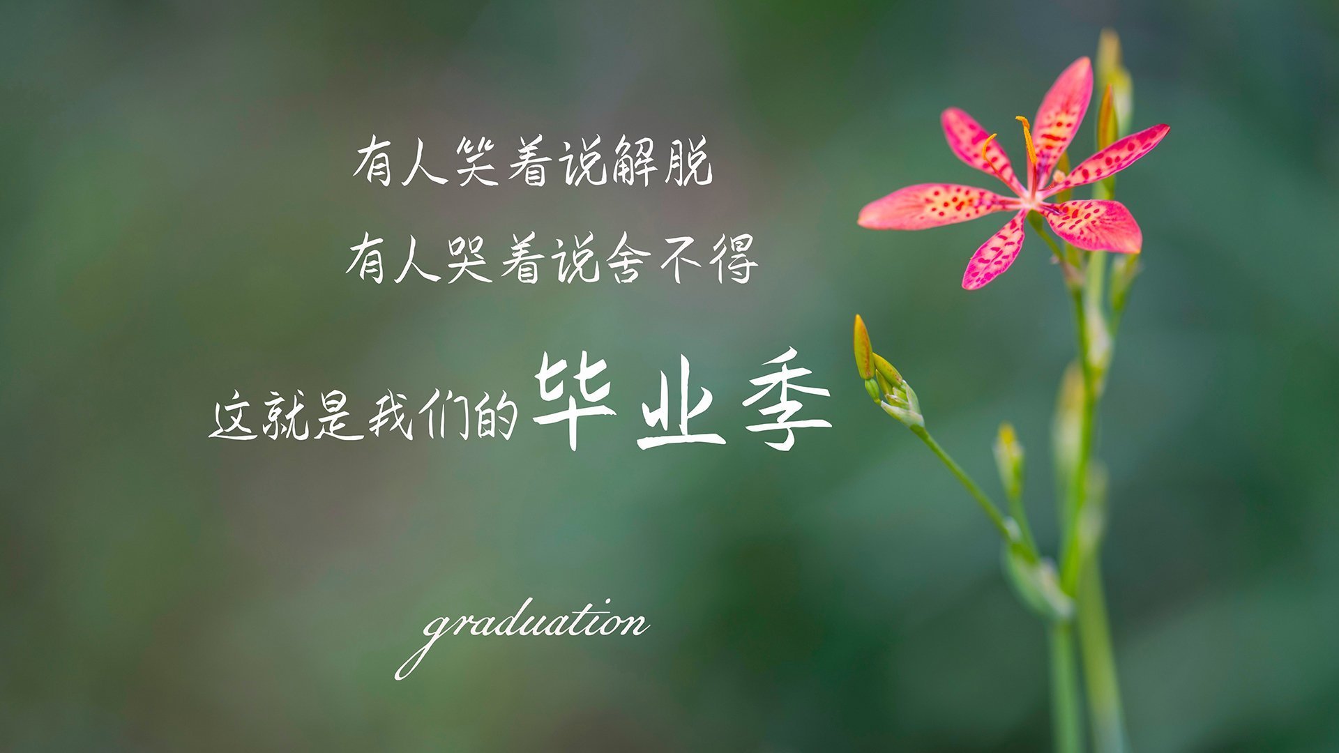 铁骑碾碎桑巴舞步,楚阿梅尼一战封神,彻底肢解巴西梦幻防线